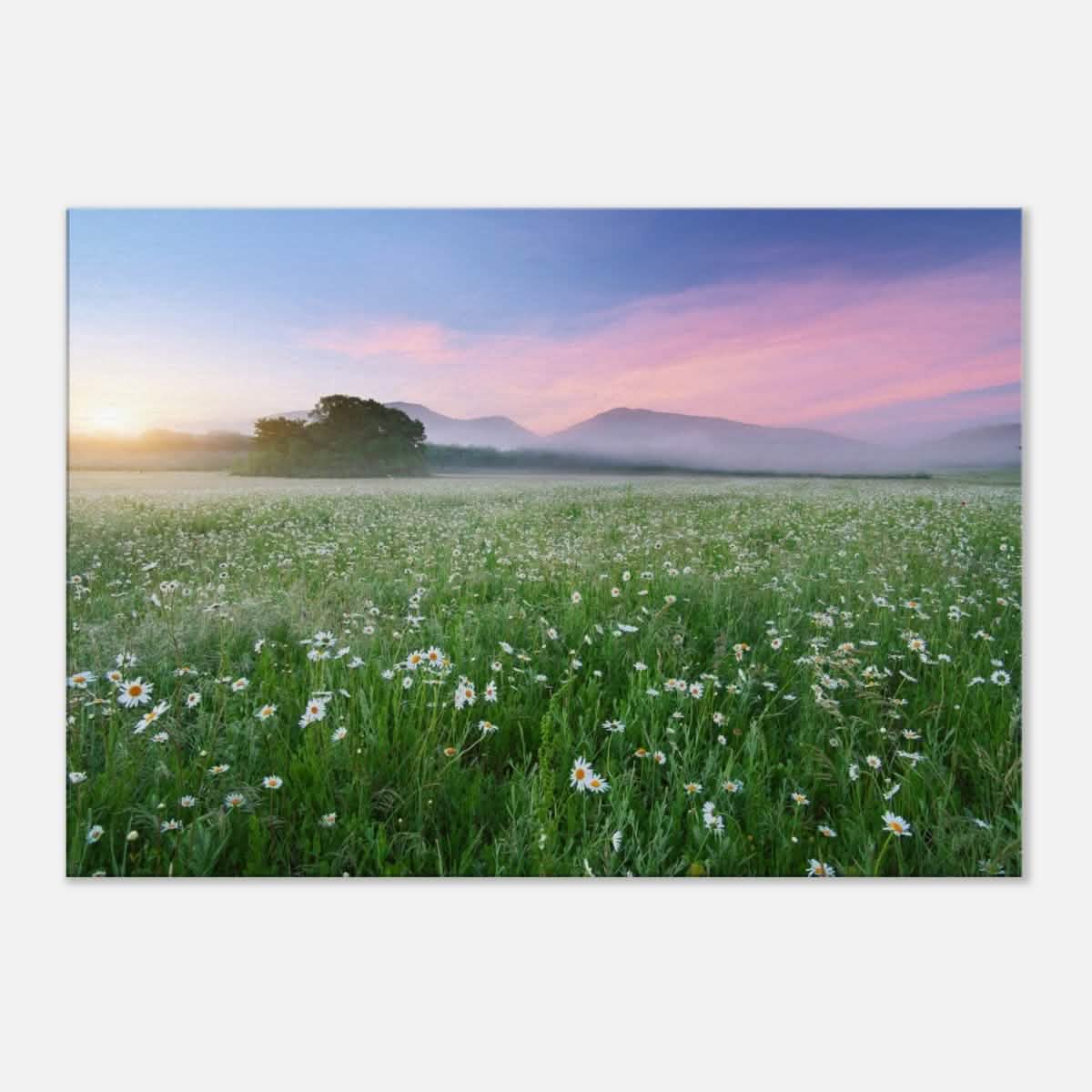 Da Vinci Nature Collection Wall Art - 70x100 cm / 28x40″ - Slim -