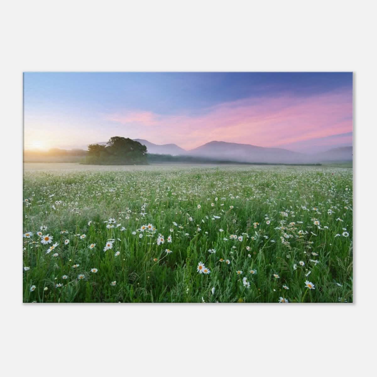 Da Vinci Nature Collection Wall Art - 70x100 cm / 28x40″ - Thick -