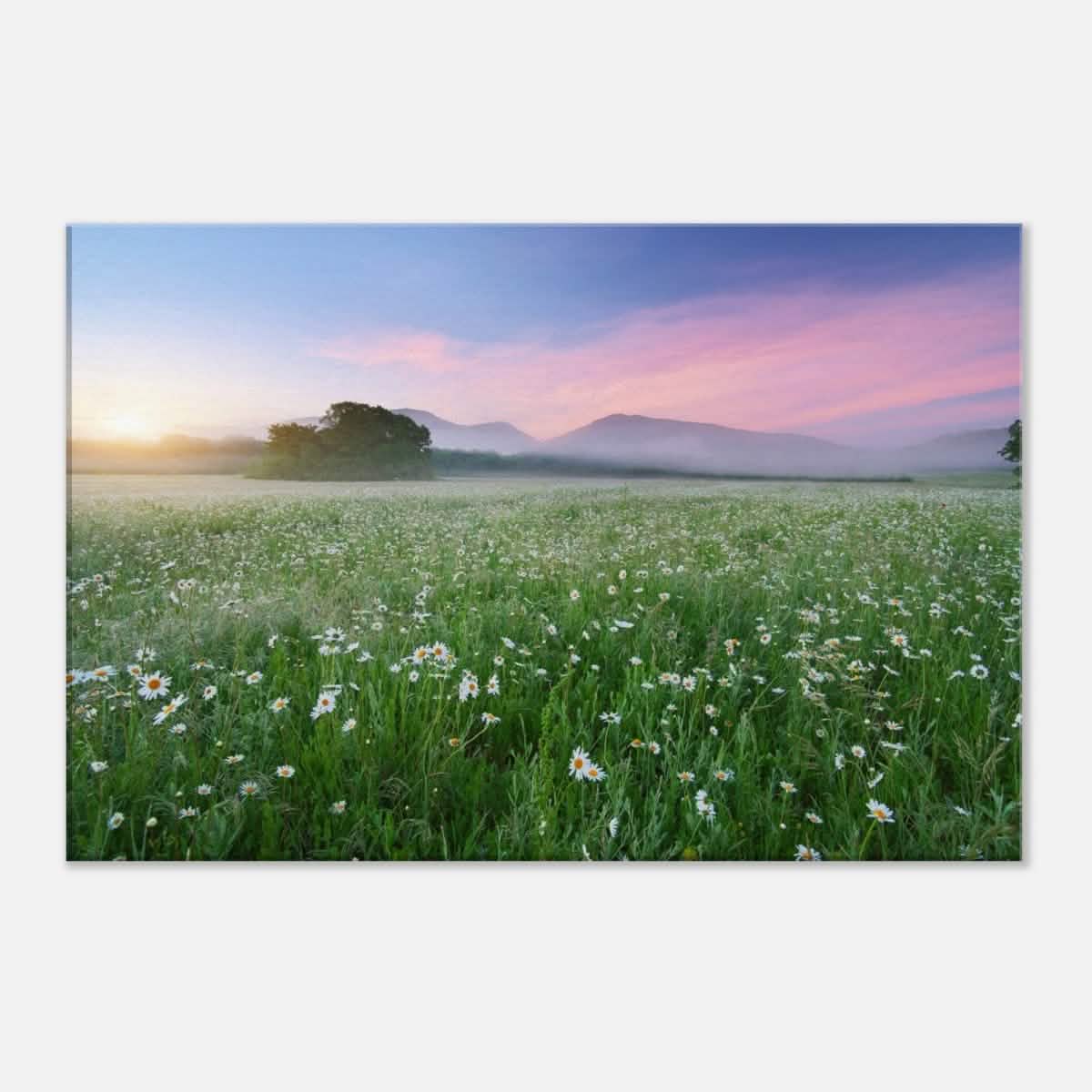 Da Vinci Nature Collection Wall Art - 40x60 cm / 16x24″ - Slim -