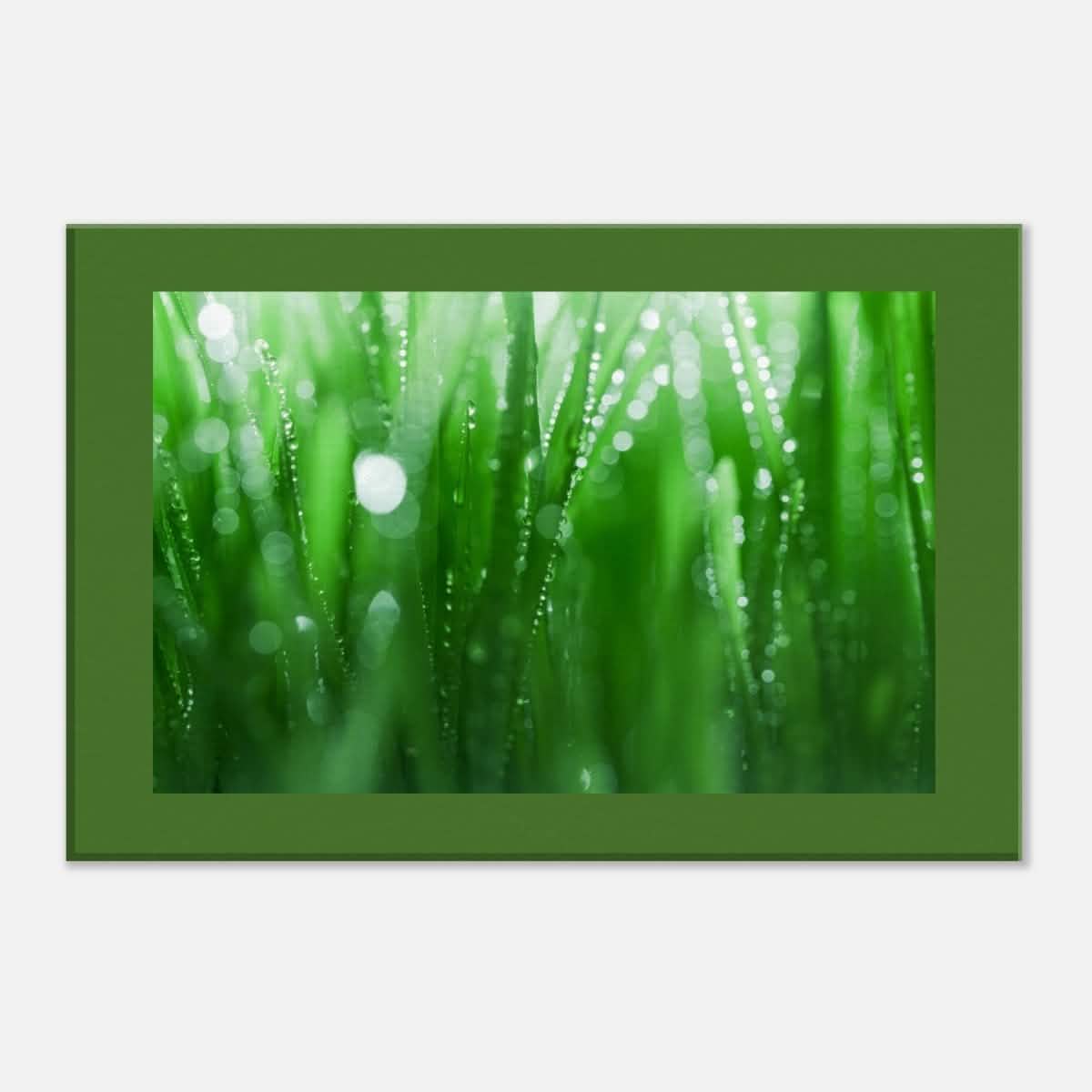 Da Vinci Nature Collection Wall Art - 30x45 cm / 12x18″ - Thick -