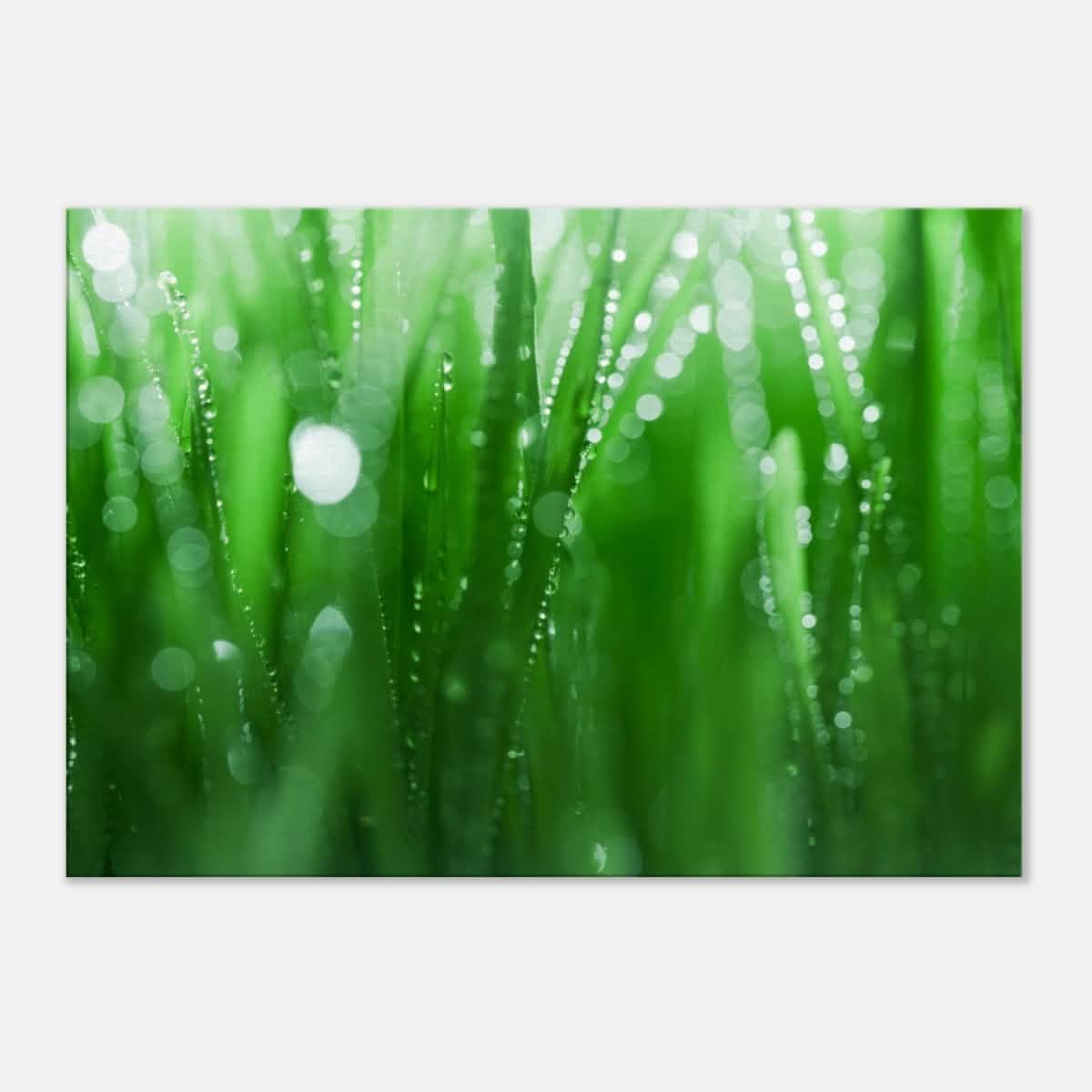 Da Vinci Nature Collection Wall Art - 70x100 cm / 28x40″ - Slim -