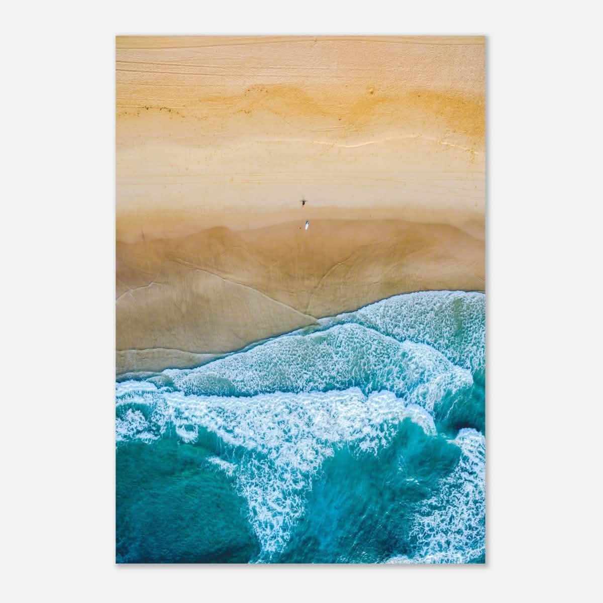 Da Vinci Nature Wall art | Beach - Aluminum Print - 70x100 cm / 28x40″ -