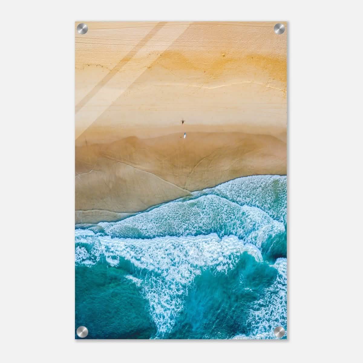 Da Vinci Nature Wall art | Beach - Acrylic Print - 40x60 cm / 16x24″ -