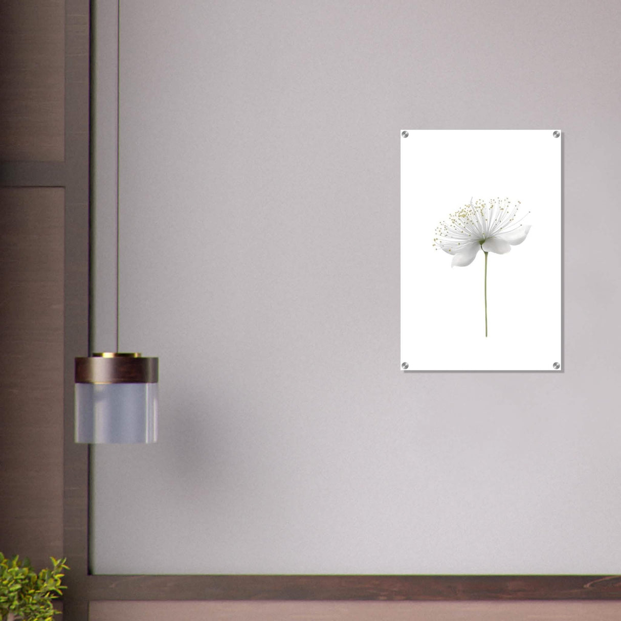 Da Vinci Nature Wall art | Floral - Acrylic Print - 50x75 cm / 20x30″ -