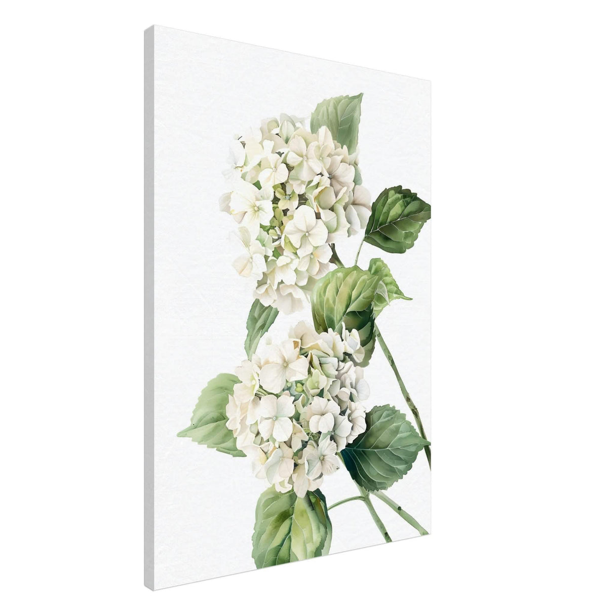 Da Vinci Nature Wall art | Floral - Canvas - 70x100 cm / 28x40″ - Thick