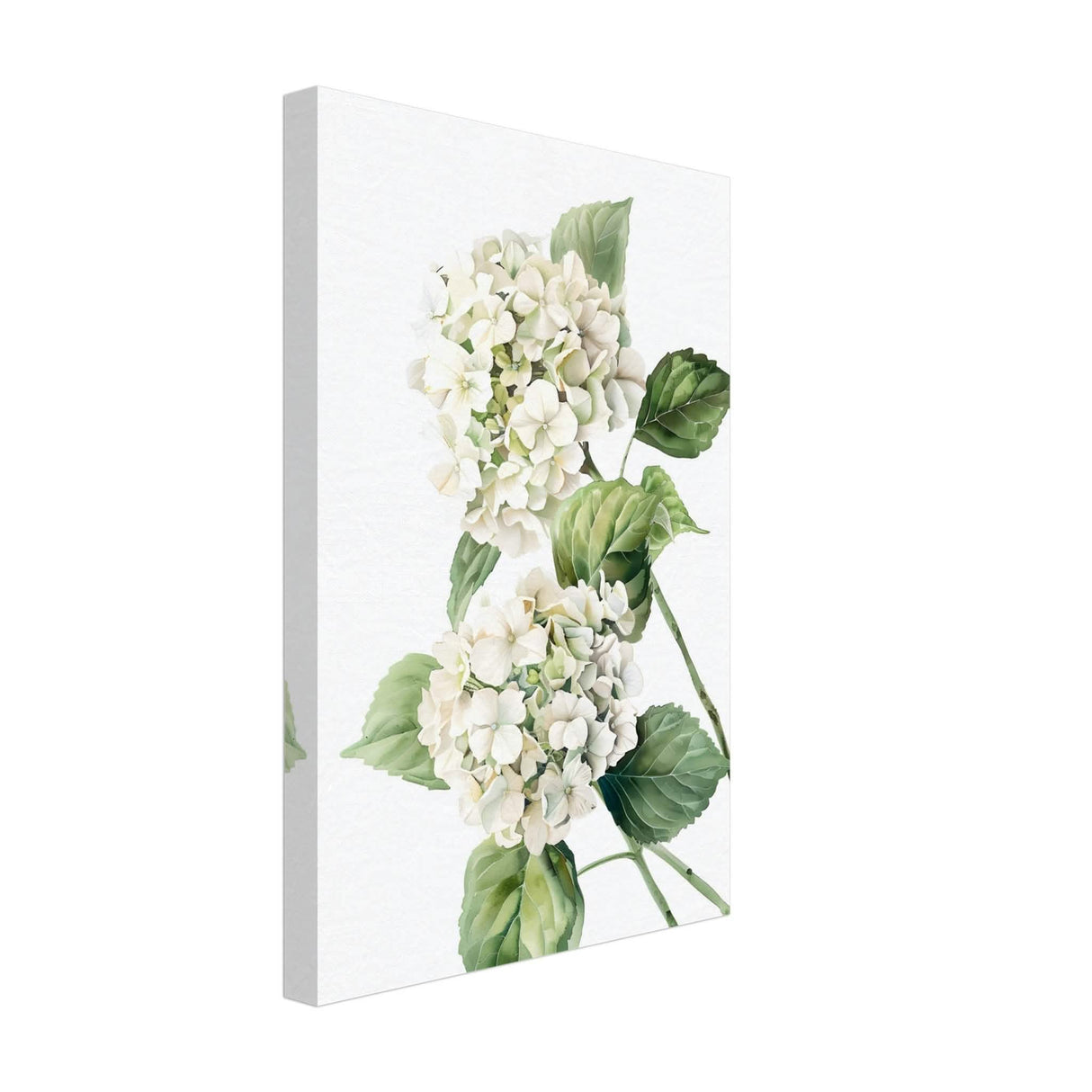 Da Vinci Nature Wall art | Floral - Canvas - 30x45 cm / 12x18″ - Thick