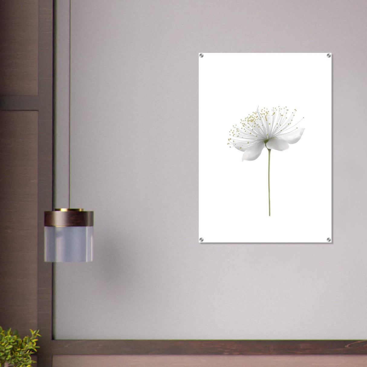 Da Vinci Nature Wall art | Floral - Acrylic Print - 70x100 cm / 28x40″ -