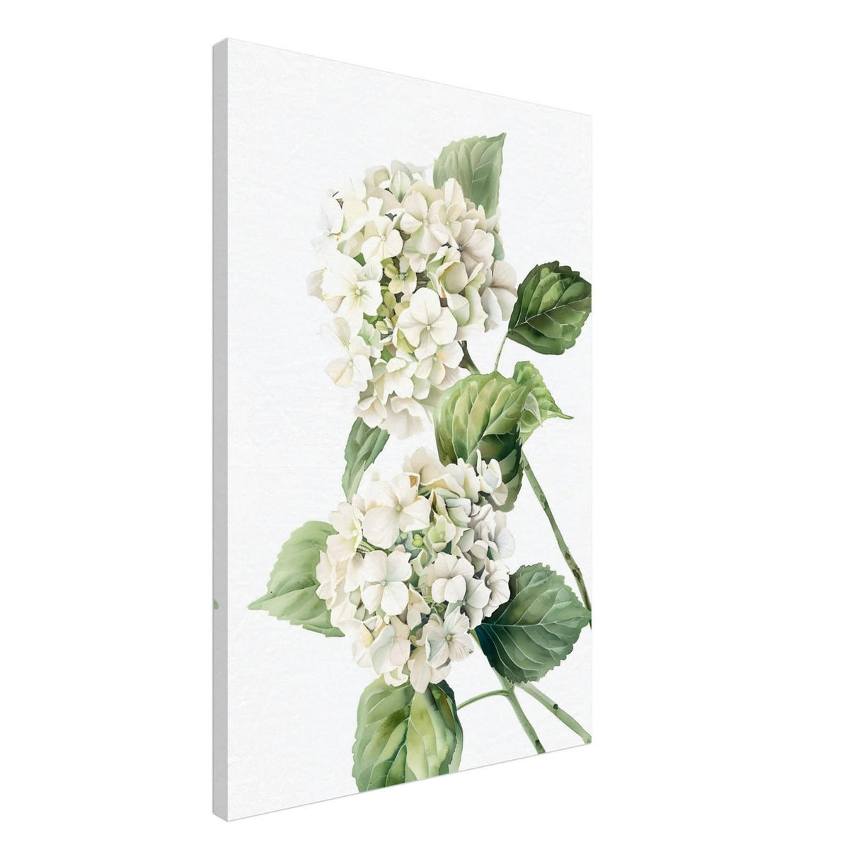 Da Vinci Nature Wall art | Floral - Canvas - 60x90 cm / 24x36″ - Thick