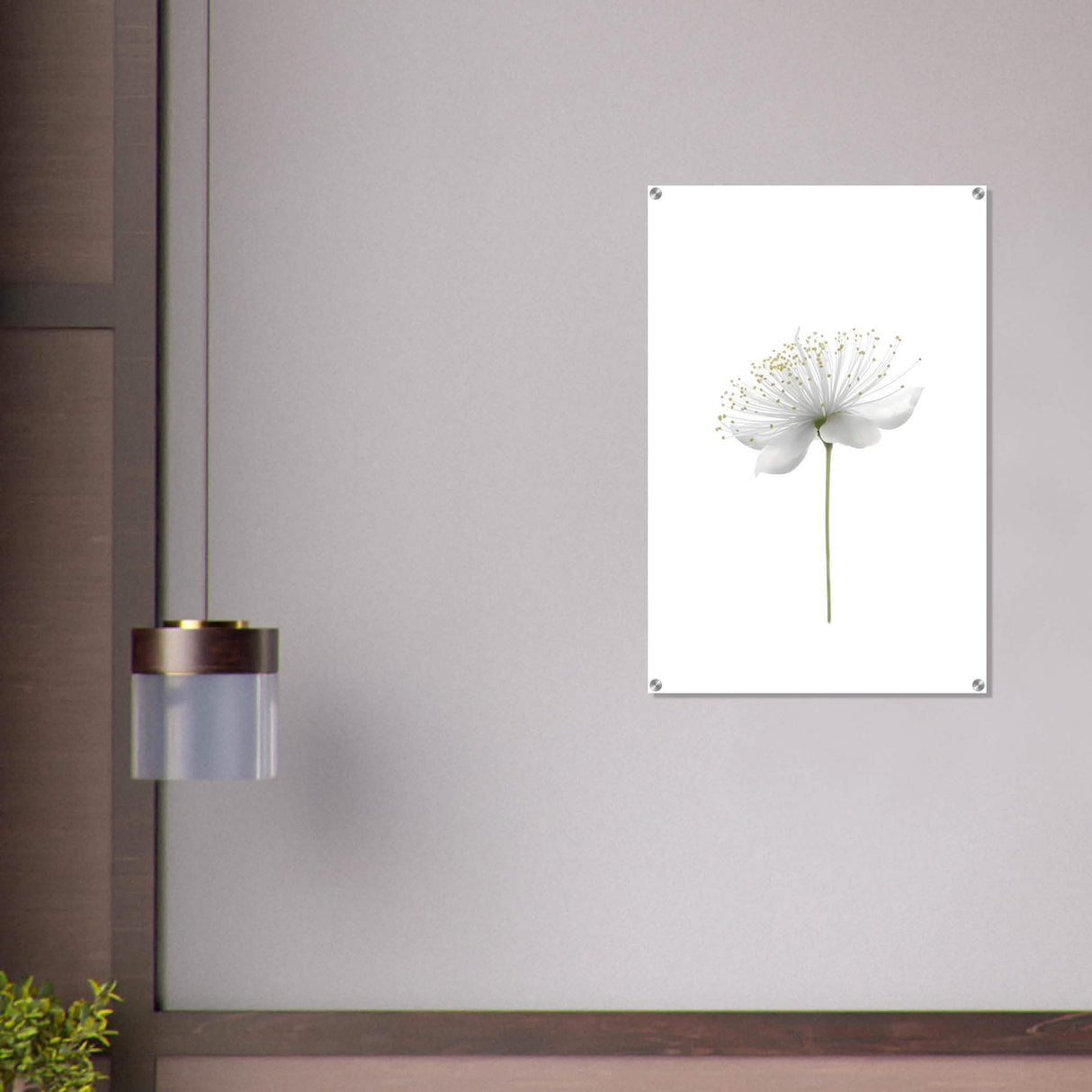Da Vinci Nature Wall art | Floral - Acrylic Print - 60x90 cm / 24x36″ -