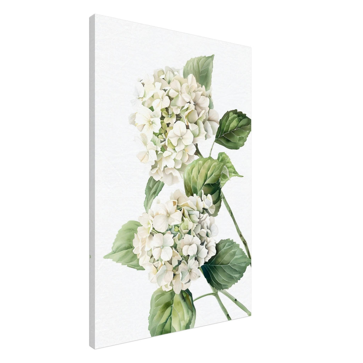 Da Vinci Nature Wall art | Floral - Canvas - 60x90 cm / 24x36″ - Slim