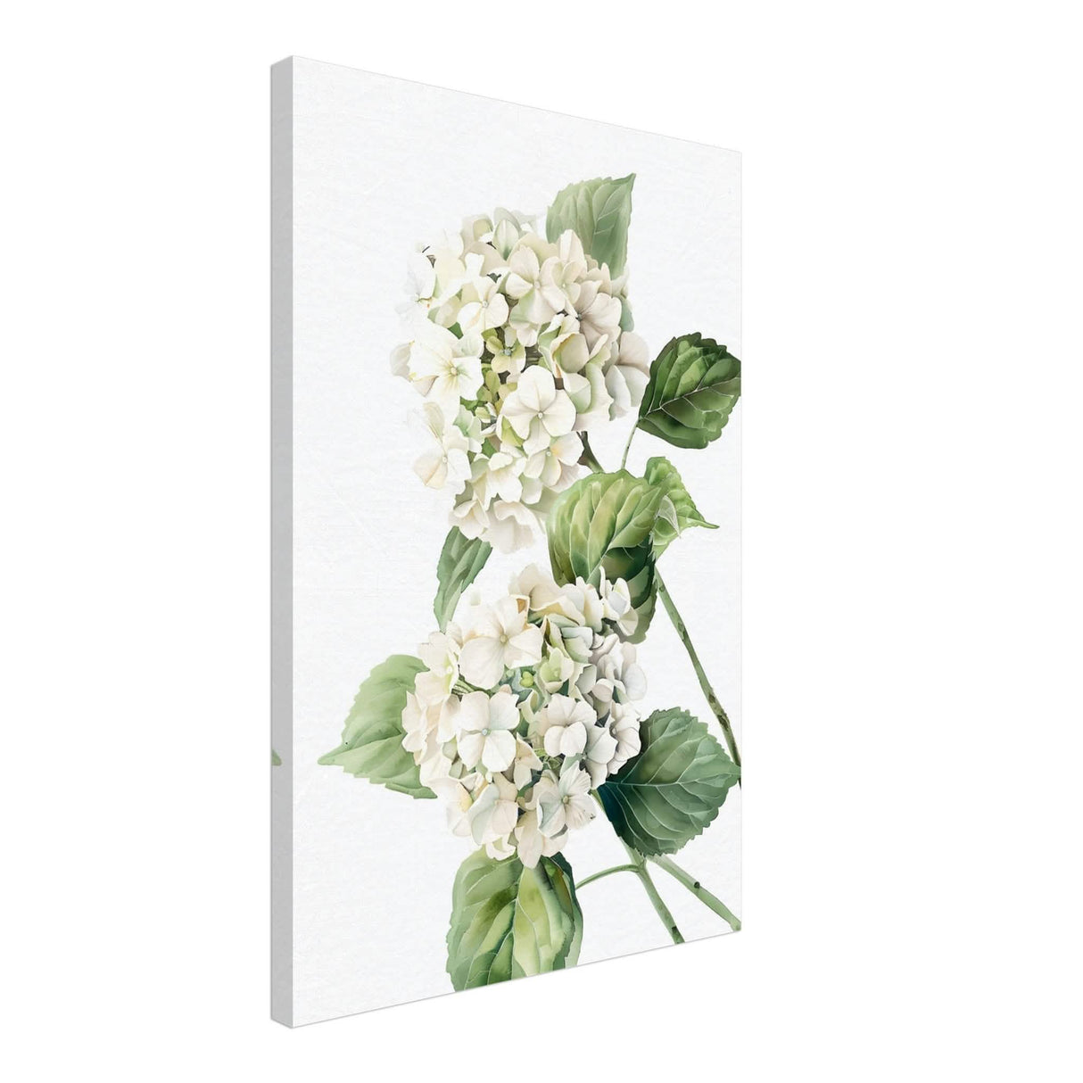 Da Vinci Nature Wall art | Floral - Canvas - 50x75 cm / 20x30″ - Thick