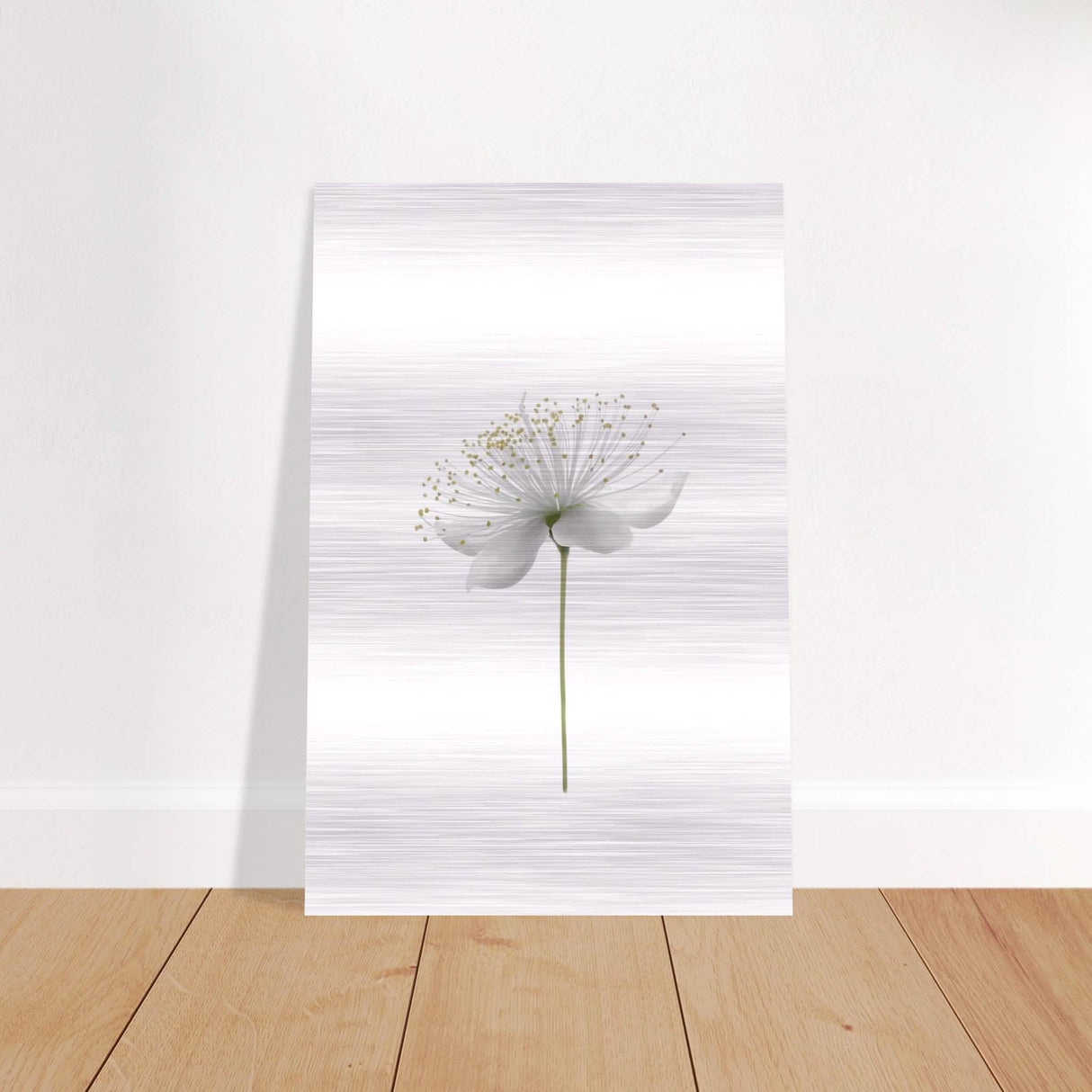 Da Vinci Nature Wall art | Floral - Brushed Aluminum Print - 30x45 cm / 12x18″ -