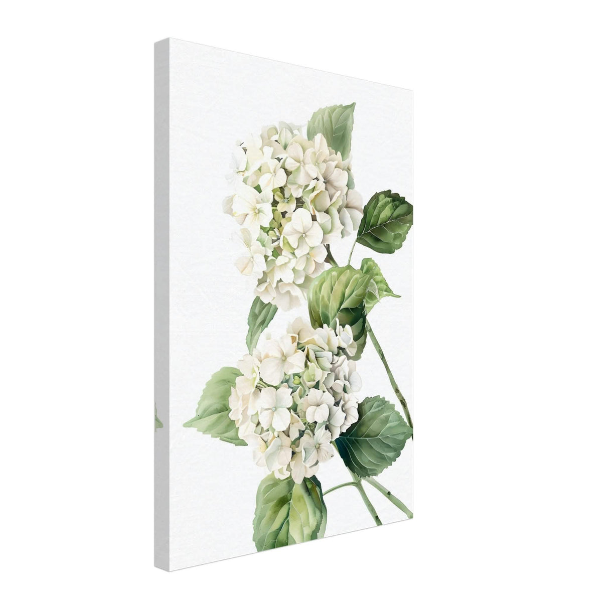 Da Vinci Nature Wall art | Floral - Canvas - 40x60 cm / 16x24″ - Thick