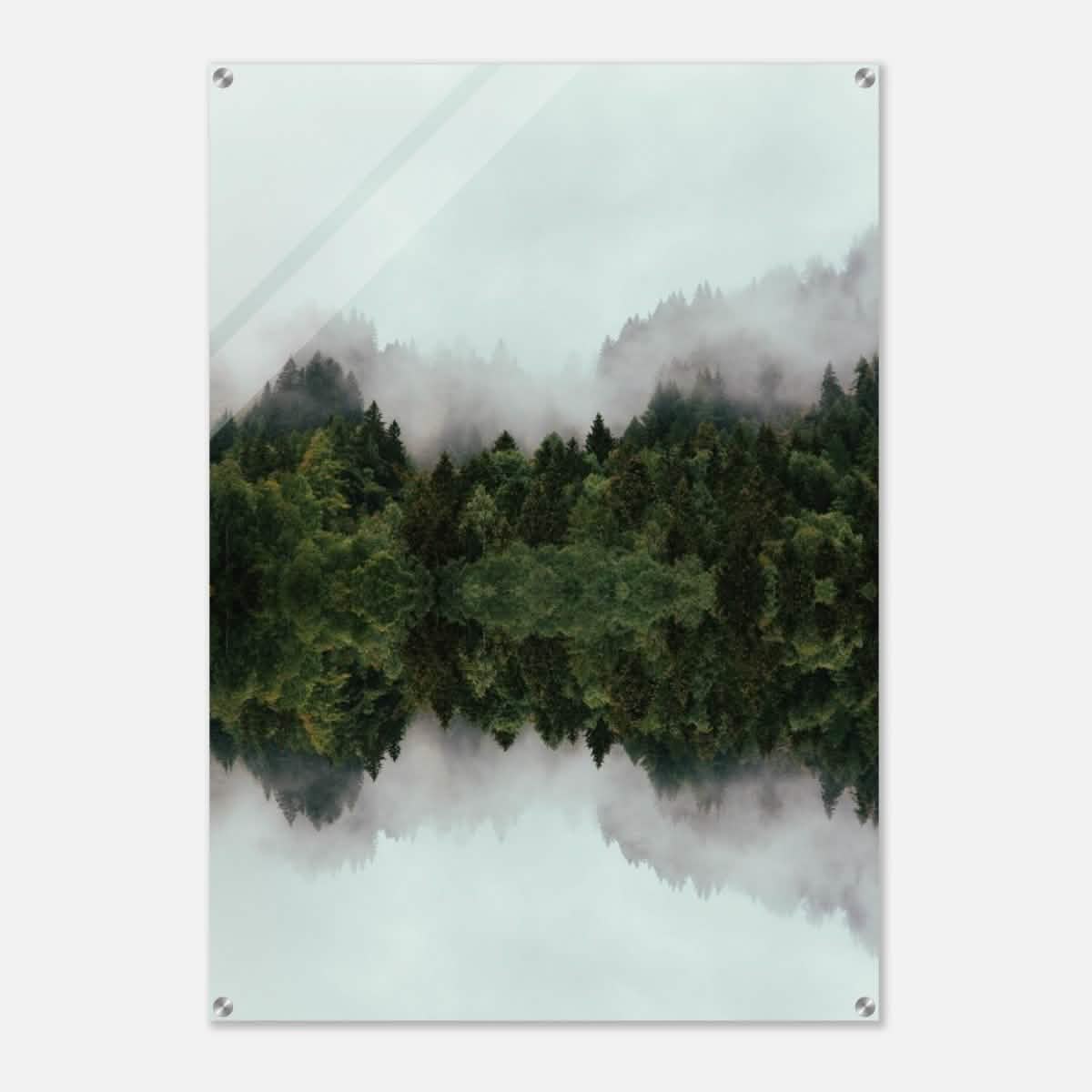 Da Vinci Nature Wall art print - Acrylic Print - 70x100 cm / 28x40″ -