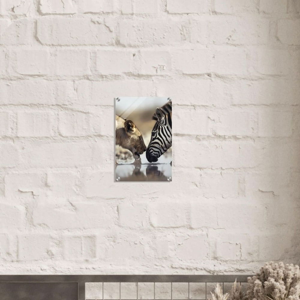 Da Vinci Nature Wall art | Wild Life prints | Lion Zebra - Acrylic Print - 30x45 cm / 12x18″ -