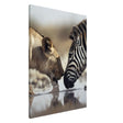Da Vinci Nature Wall art | Wild Life prints | Lion Zebra - Canvas - 70x100 cm / 28x40″ - Slim