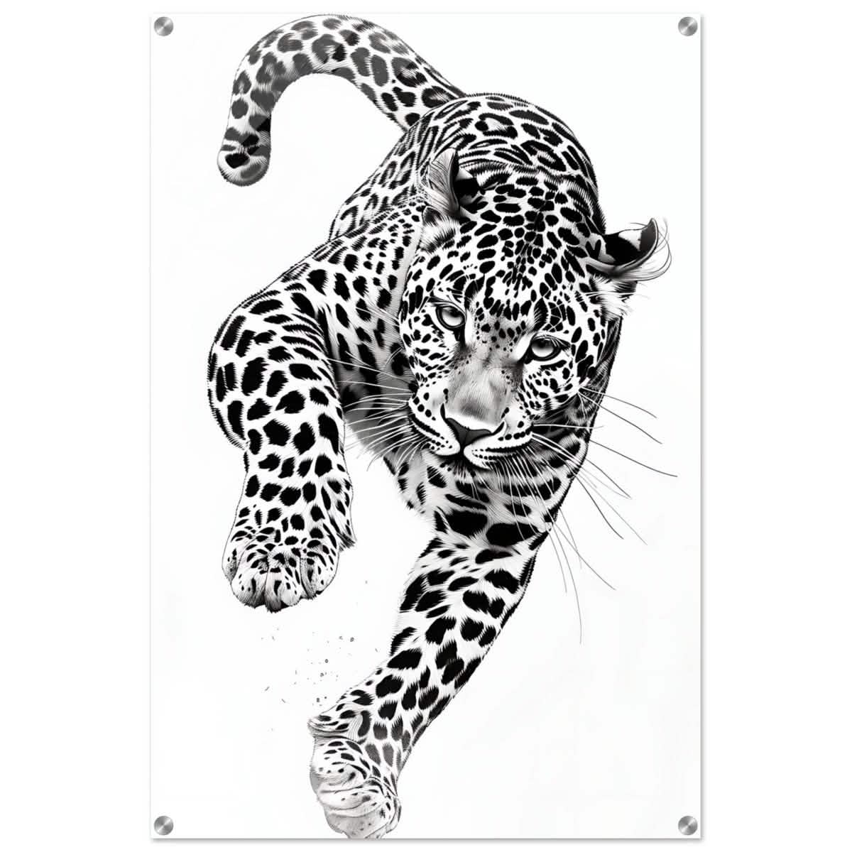 Da Vinci Nature Wall art | Wildlife | Leopard - Acrylic Print - 60x90 cm / 24x36″ -