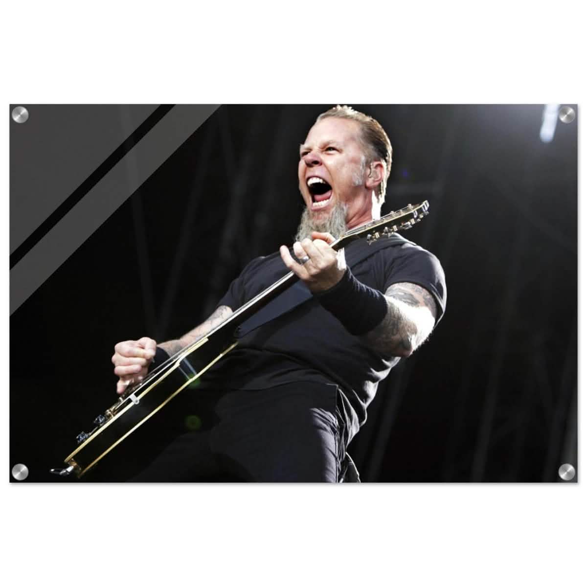 Da Vinci Pop Art Wall art print | James Hetfield | Metallica - Acrylic Print - 50x75 cm / 20x30″ -