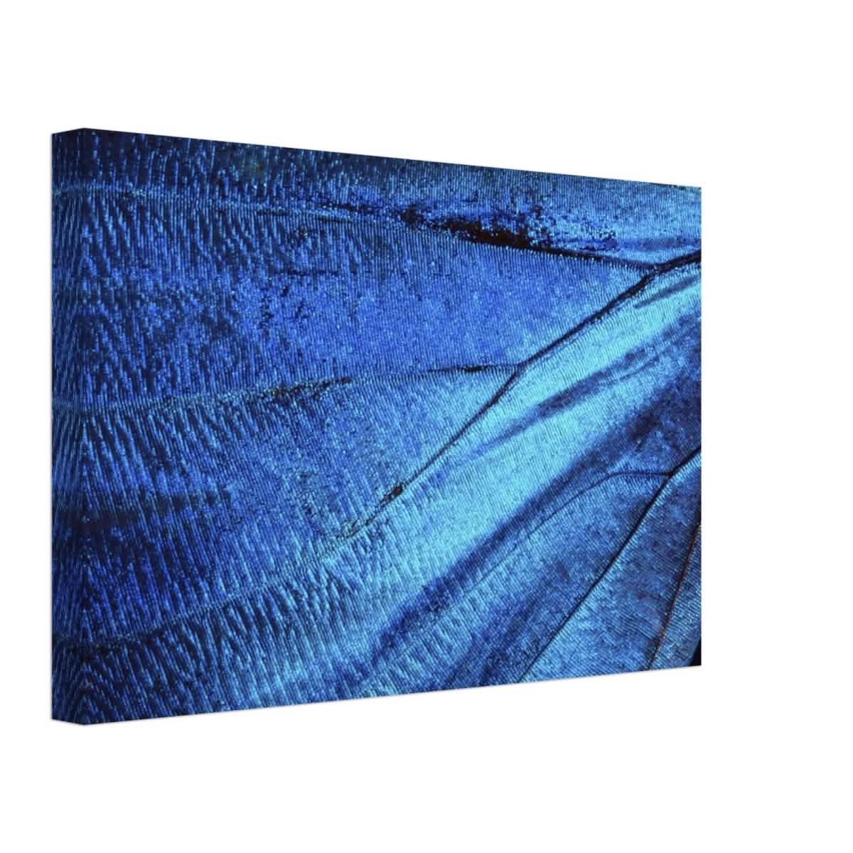 Da Vinci Wall Art | Blue Butterfly Wing - Canvas - 30x45 cm / 12x18″ - Thick