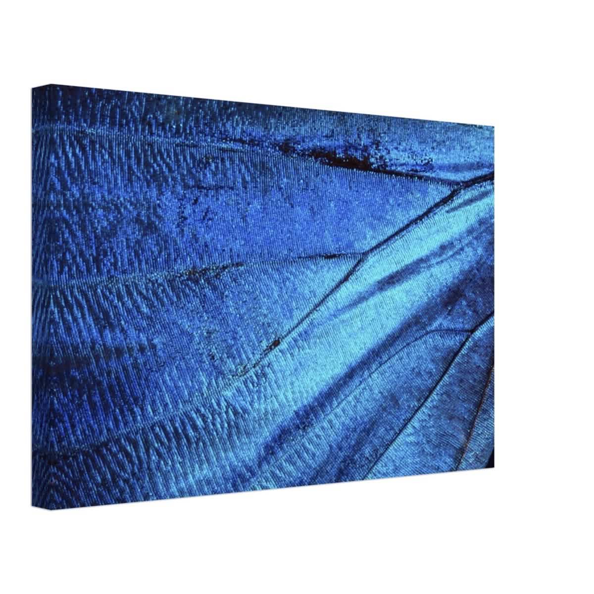 Da Vinci Wall Art | Blue Butterfly Wing - Canvas - 30x45 cm / 12x18″ - Slim