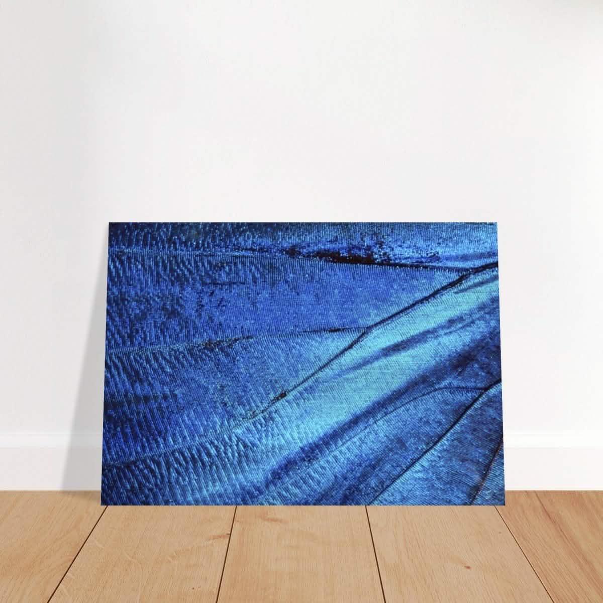 Da Vinci Wall Art | Blue Butterfly Wing - Brushed Aluminum Print - 70x100 cm / 28x40″ -