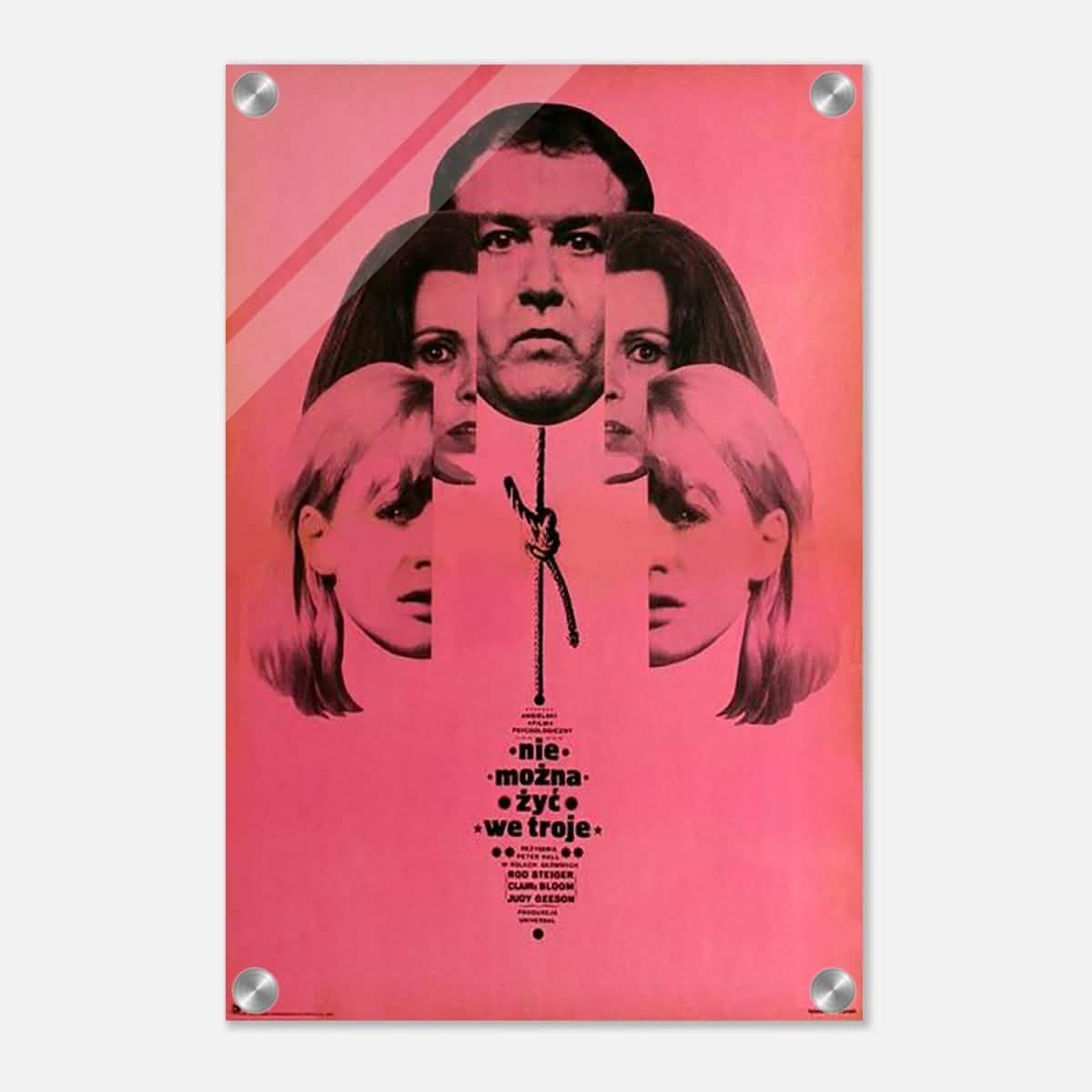 Da Vinci Wall art Print | Pop art wall art print collection - Acrylic Print - 30x45 cm / 12x18″ -