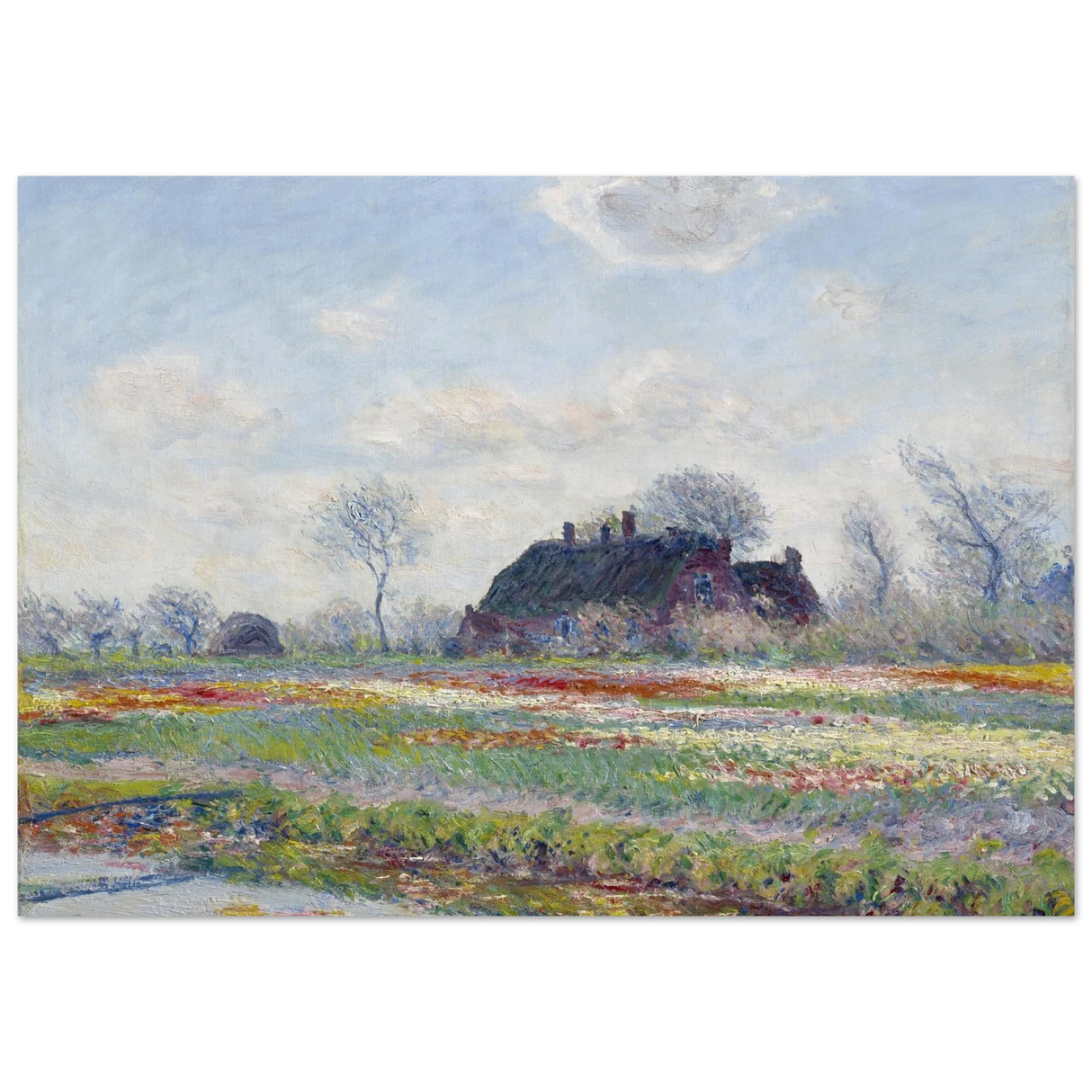 e320bb28-dca6-4a42-bd0e-8818bb01fcc1