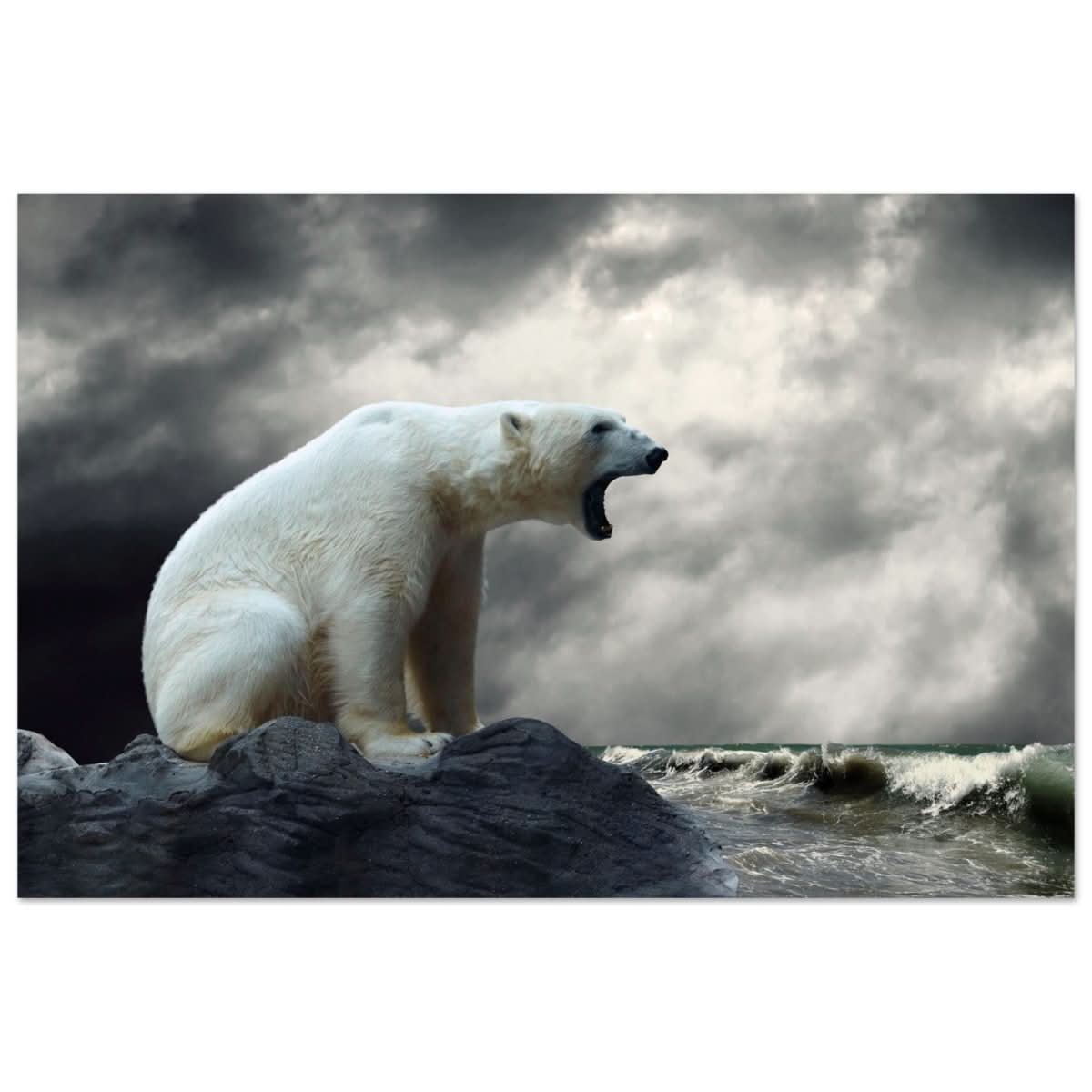 Echoes of the Arctic: The Roaring Majesty | Animal wall art print - Aluminum Print - 30x45 cm / 12x18″ -
