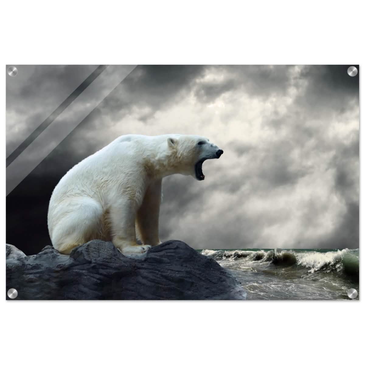 Echoes of the Arctic: The Roaring Majesty | Animal wall art print - Acrylic Print - 50x75 cm / 20x30″ -