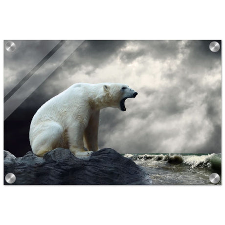 Echoes of the Arctic: The Roaring Majesty | Animal wall art print - Acrylic Print - 30x45 cm / 12x18″ -