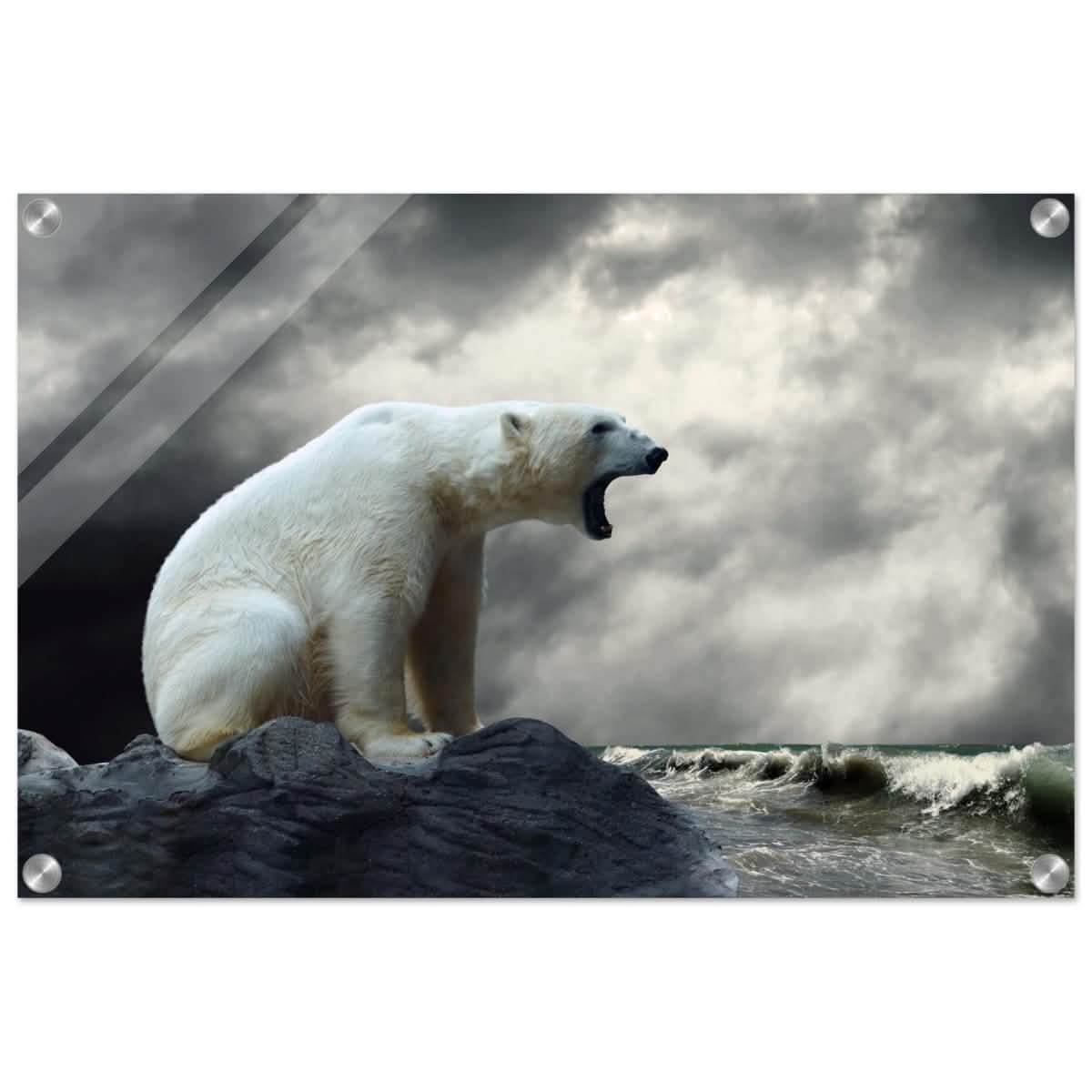 Echoes of the Arctic: The Roaring Majesty | Animal wall art print - Acrylic Print - 40x60 cm / 16x24″ -