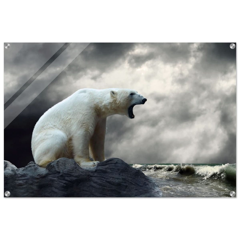 Echoes of the Arctic: The Roaring Majesty | Animal wall art print - Acrylic Print - 60x90 cm / 24x36″ -