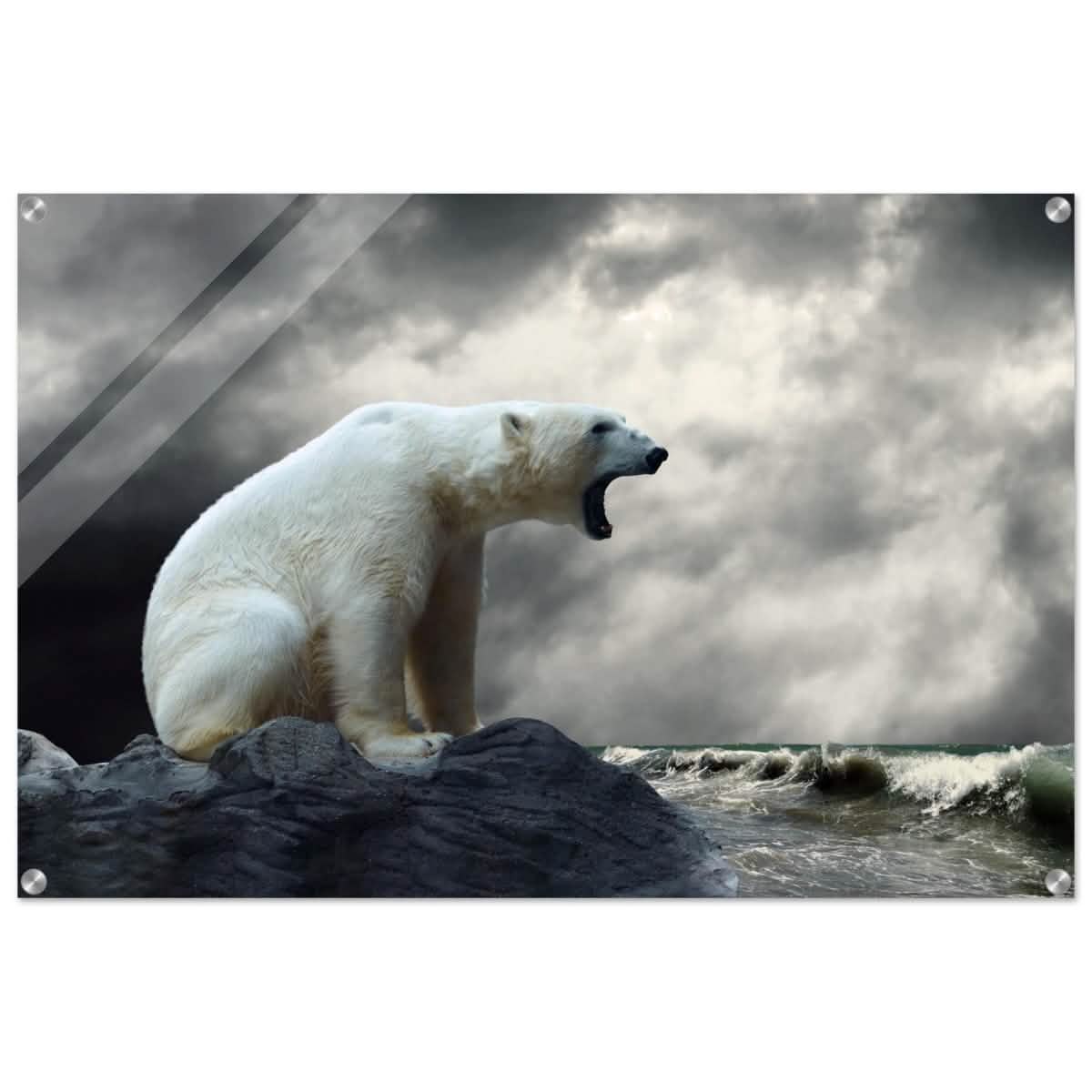 Echoes of the Arctic: The Roaring Majesty | Animal wall art print - Acrylic Print - 60x90 cm / 24x36″ -