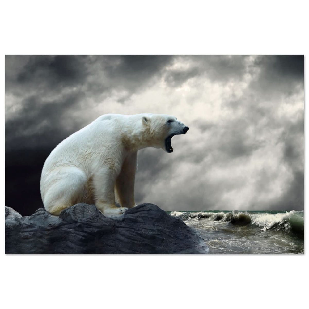 Echoes of the Arctic: The Roaring Majesty | Animal wall art print - Aluminum Print - 60x90 cm / 24x36″ -
