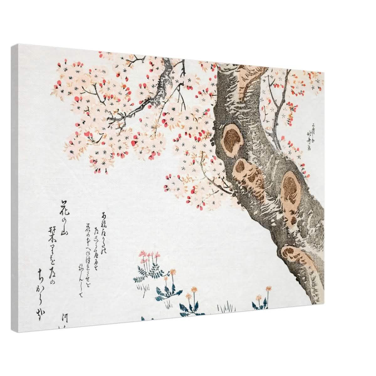 Eternal Sakura | Traditional Japanese Botanical Art | wall art print - Canvas - 60x90 cm / 24x36″ -