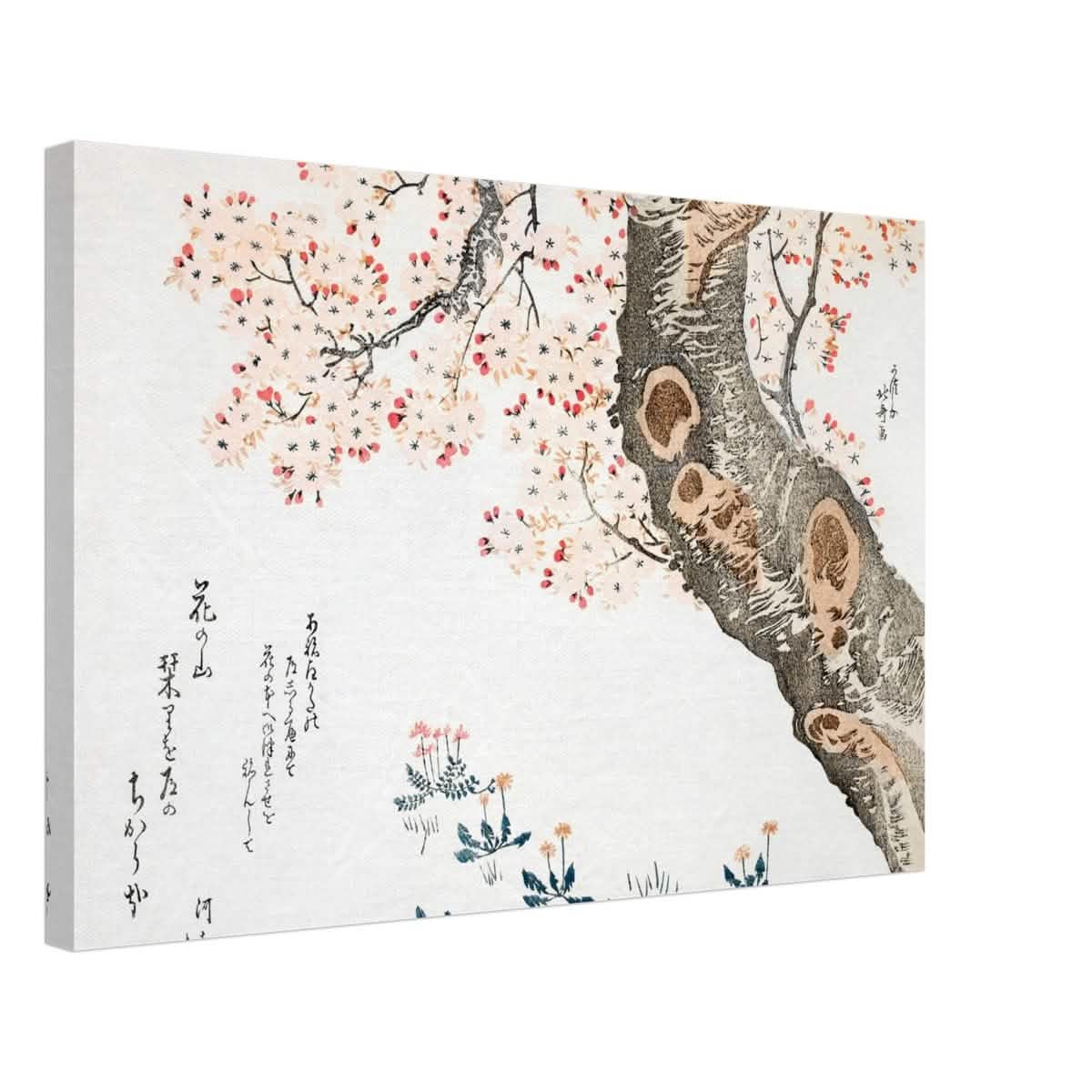 Eternal Sakura | Traditional Japanese Botanical Art | wall art print - Canvas - 40x60 cm / 16x24″ -