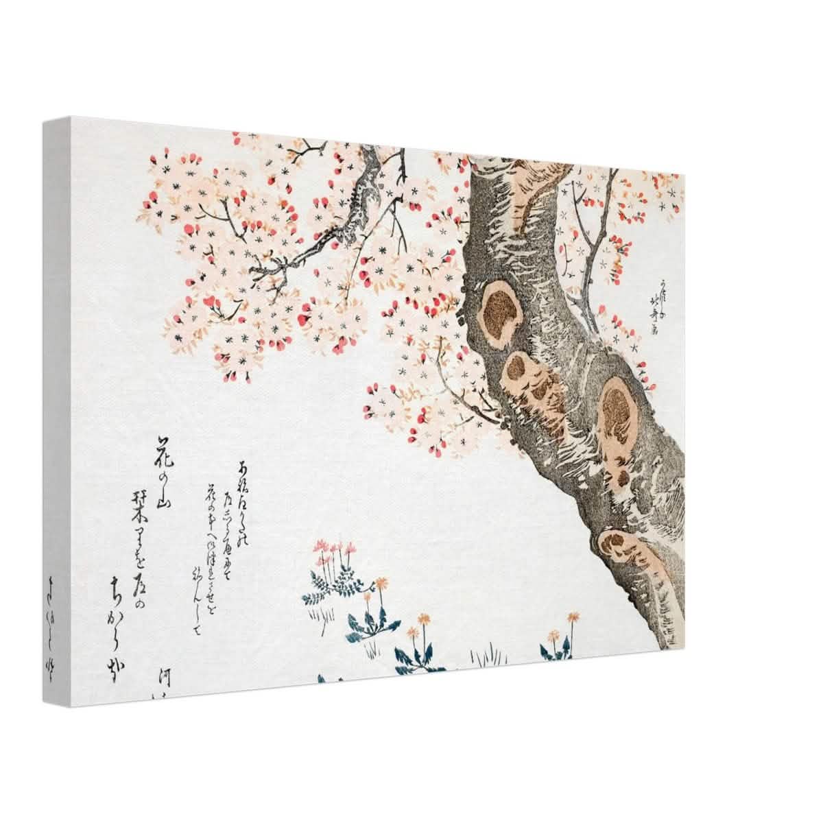 Eternal Sakura | Traditional Japanese Botanical Art | wall art print - Canvas - 30x45 cm / 12x18″ -