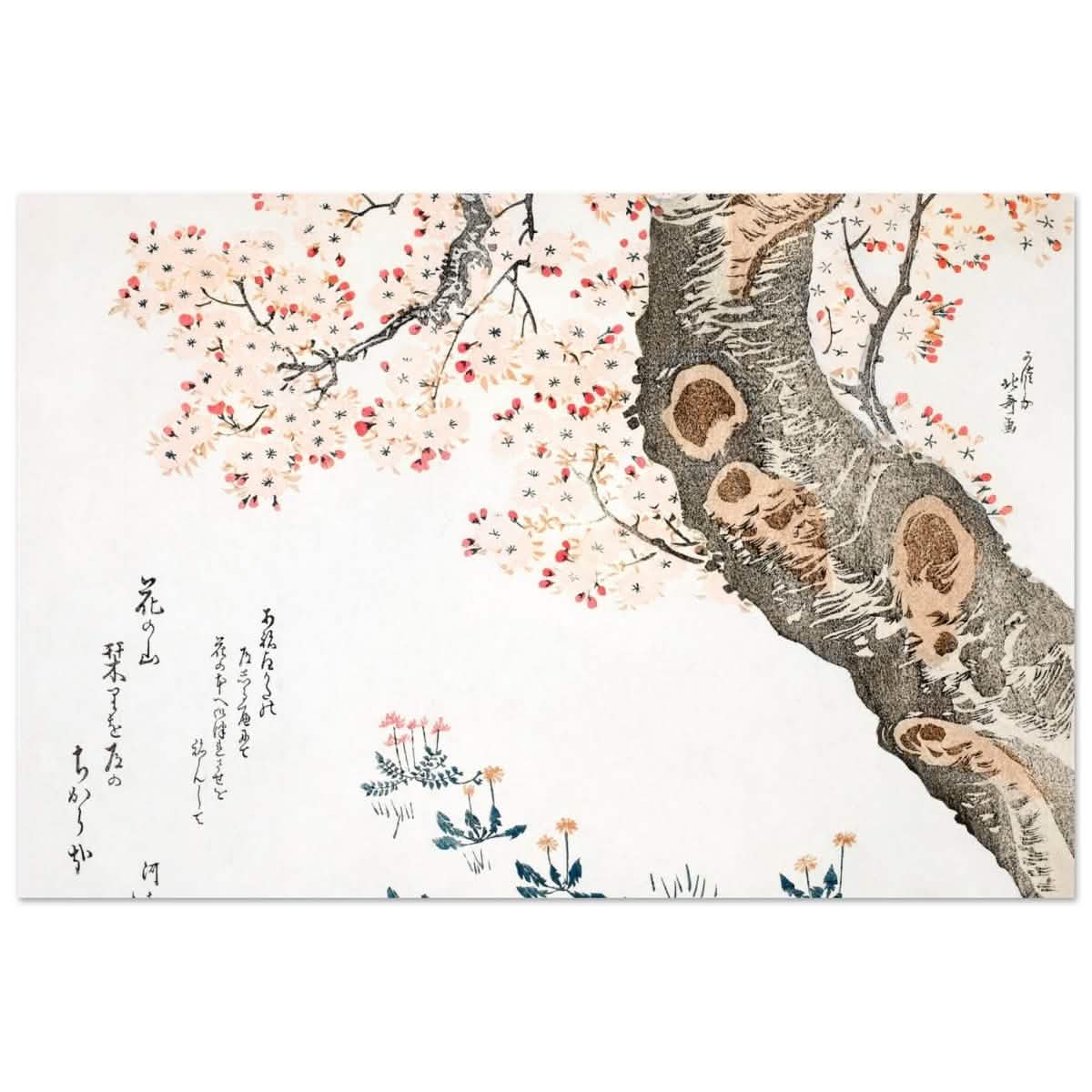 Eternal Sakura | Traditional Japanese Botanical Art | wall art print - Aluminum Print - 30x45 cm / 12x18″ -