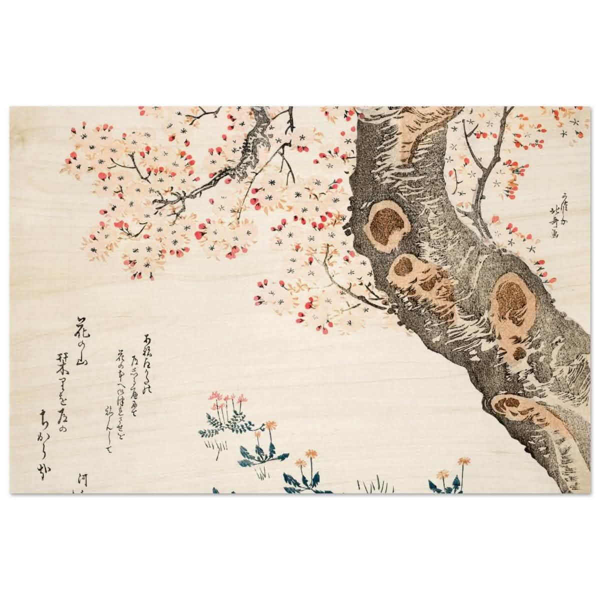 Eternal Sakura | Traditional Japanese Botanical Art | wall art print - Wood Prints - 50x75 cm / 20x30″ -