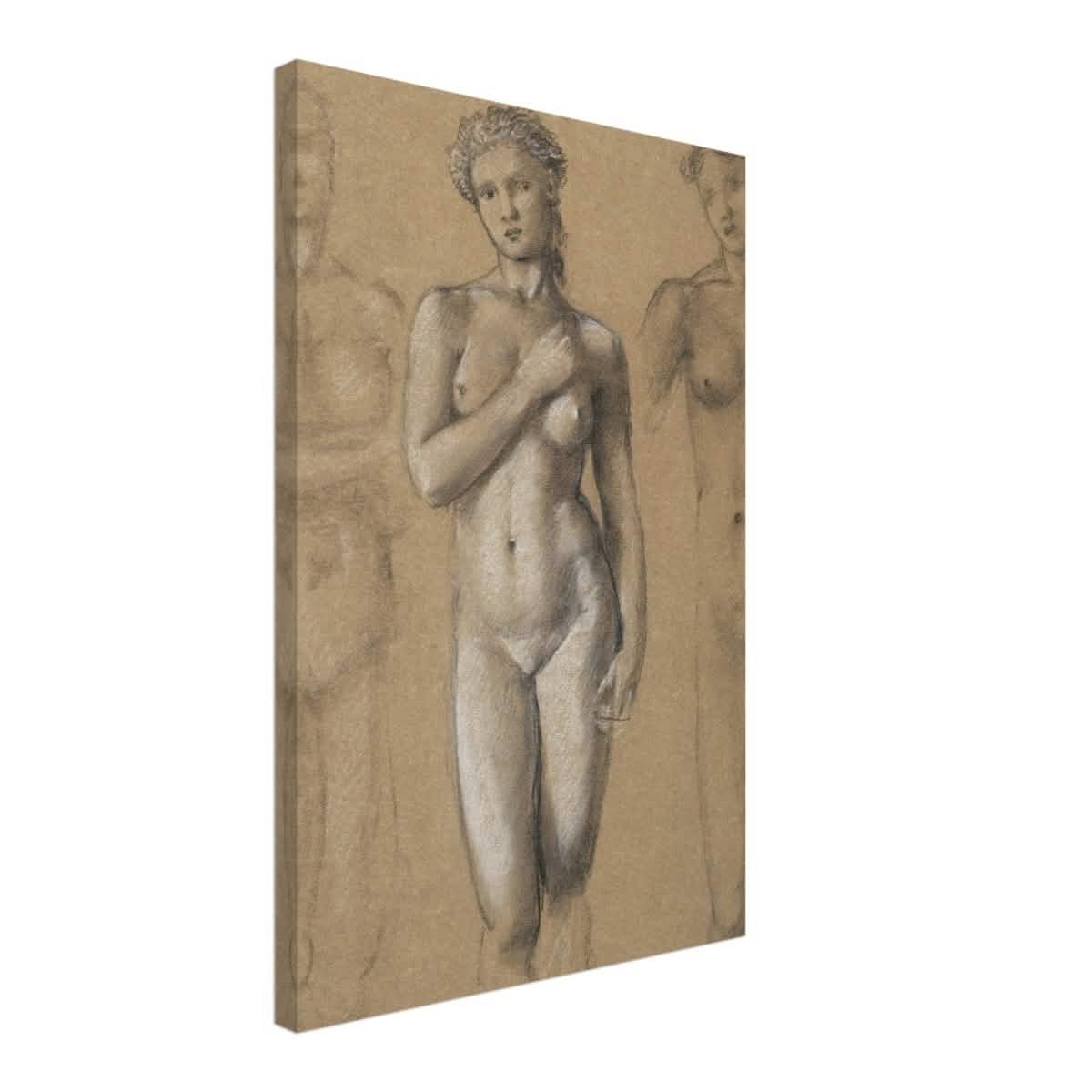 Female Nude Three Studies by Sir Edward Burne - Jones | Vintage wall art print - Canvas - 40x60 cm / 16x24″ -