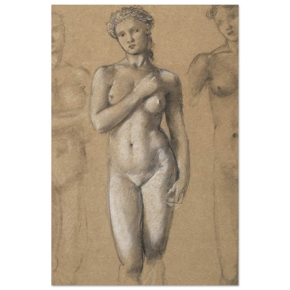 Female Nude Three Studies by Sir Edward Burne - Jones | Vintage wall art print - Aluminum Print - 50x75 cm / 20x30″ -
