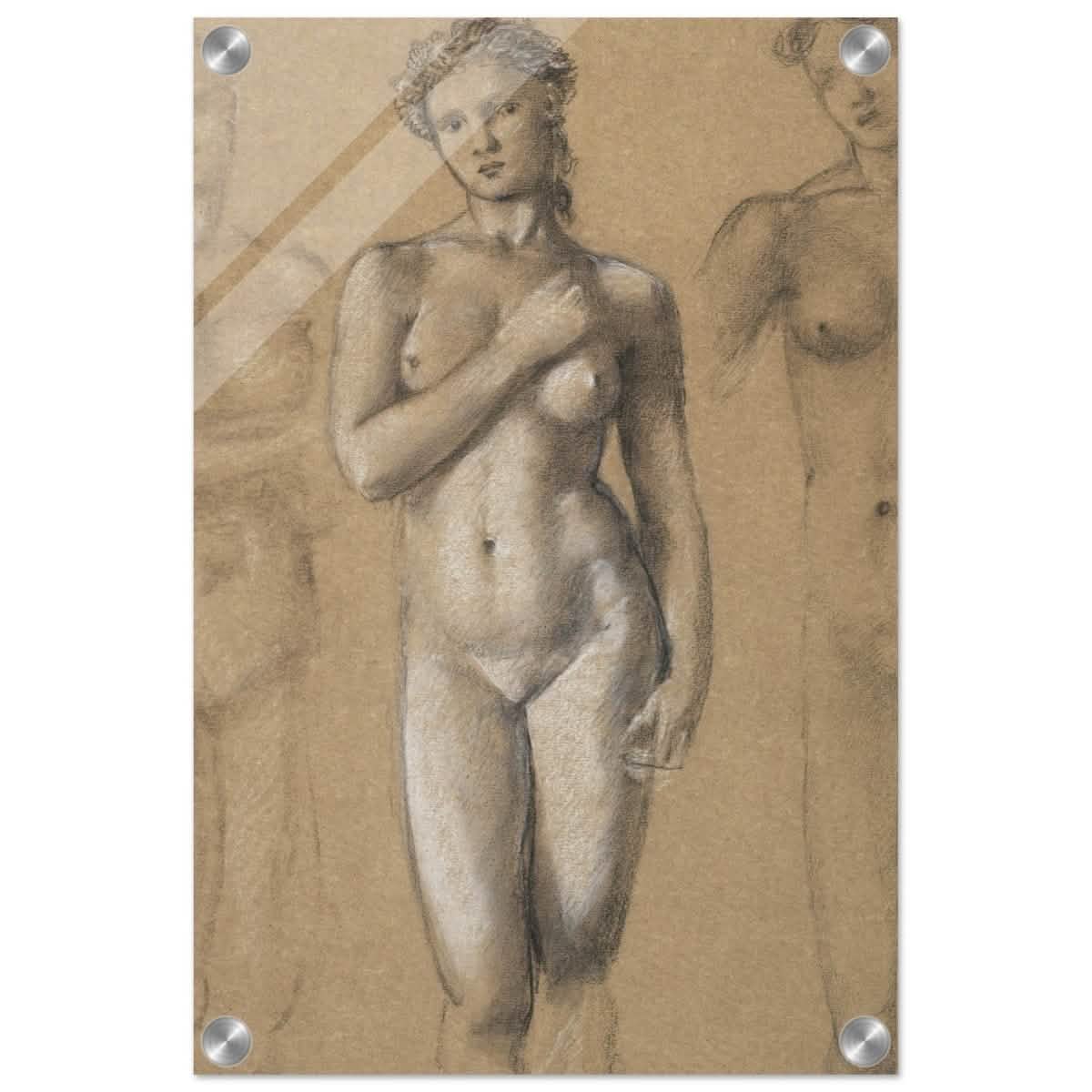 Female Nude Three Studies by Sir Edward Burne - Jones | Vintage wall art print - Acrylic Print - 30x45 cm / 12x18″ -