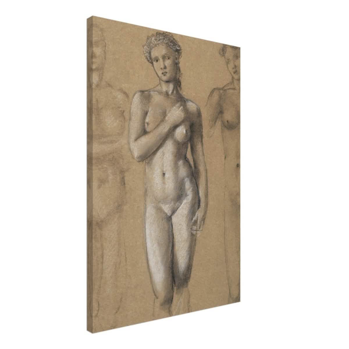 Female Nude Three Studies by Sir Edward Burne - Jones | Vintage wall art print - Canvas - 50x75 cm / 20x30″ -