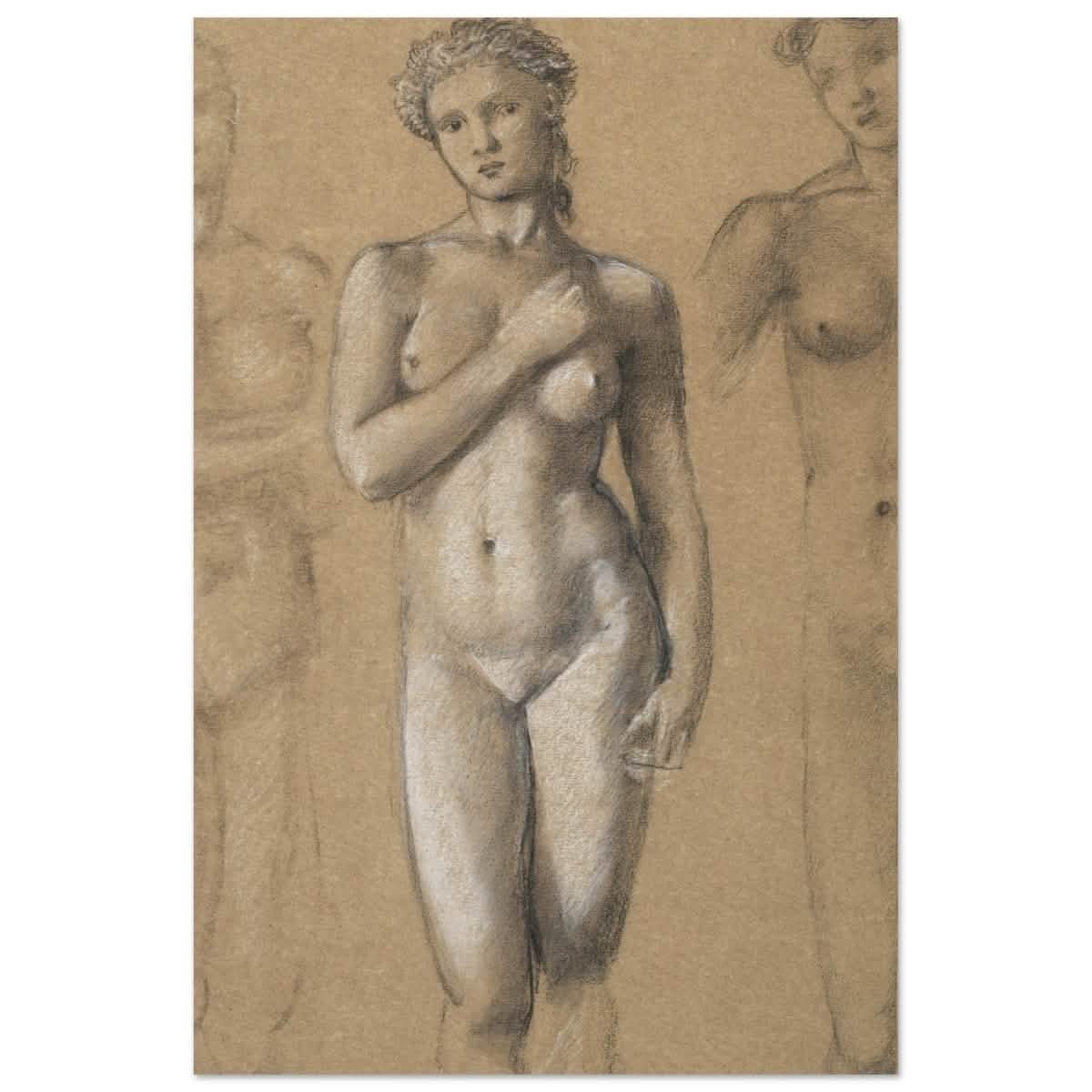Female Nude Three Studies by Sir Edward Burne - Jones | Vintage wall art print - Aluminum Print - 30x45 cm / 12x18″ -