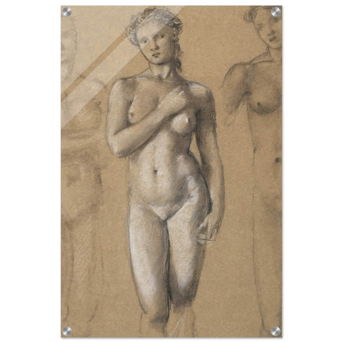 Female Nude Three Studies by Sir Edward Burne - Jones | Vintage wall art print - Acrylic Print - 50x75 cm / 20x30″ -