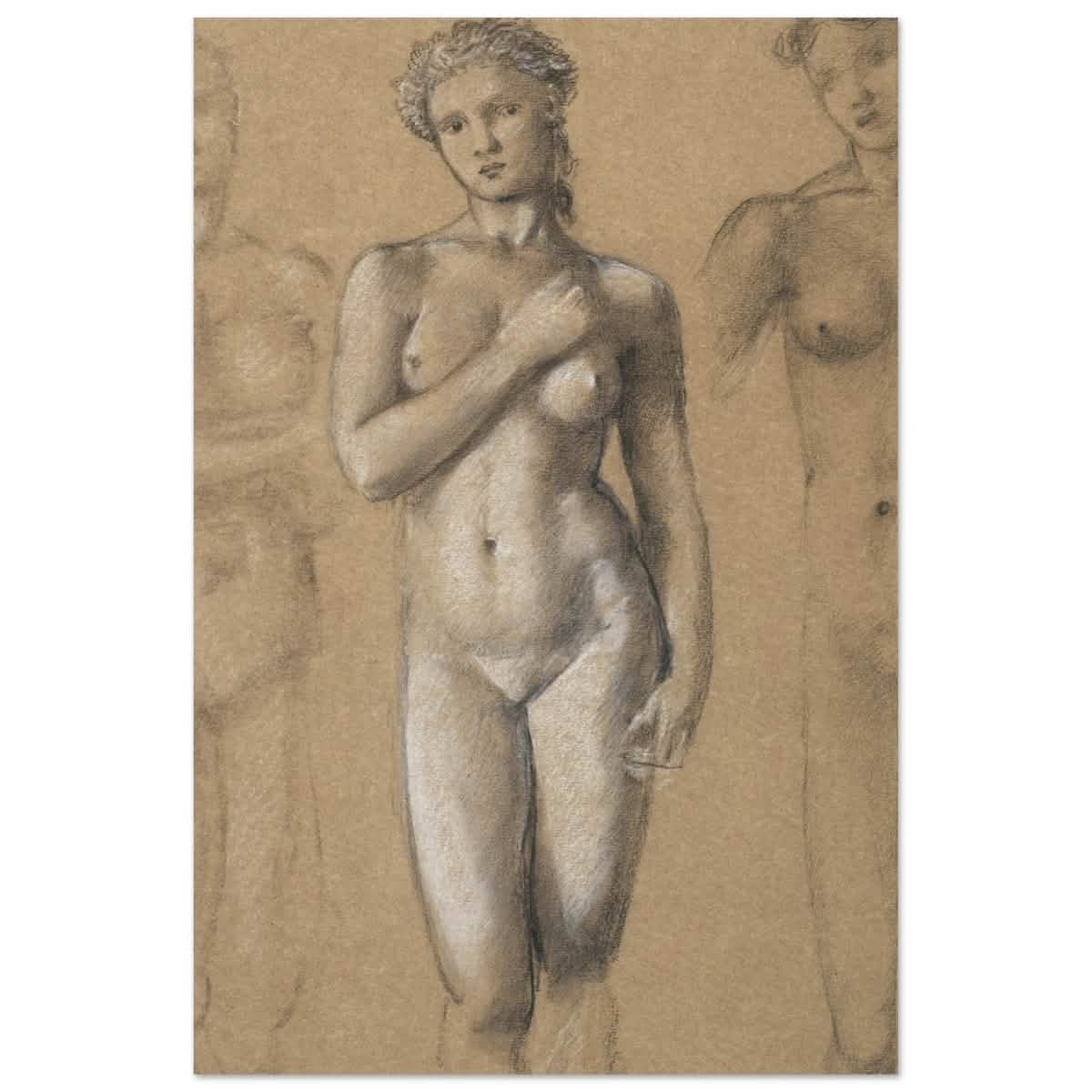 Female Nude Three Studies by Sir Edward Burne - Jones | Vintage wall art print - Aluminum Print - 60x90 cm / 24x36″ -