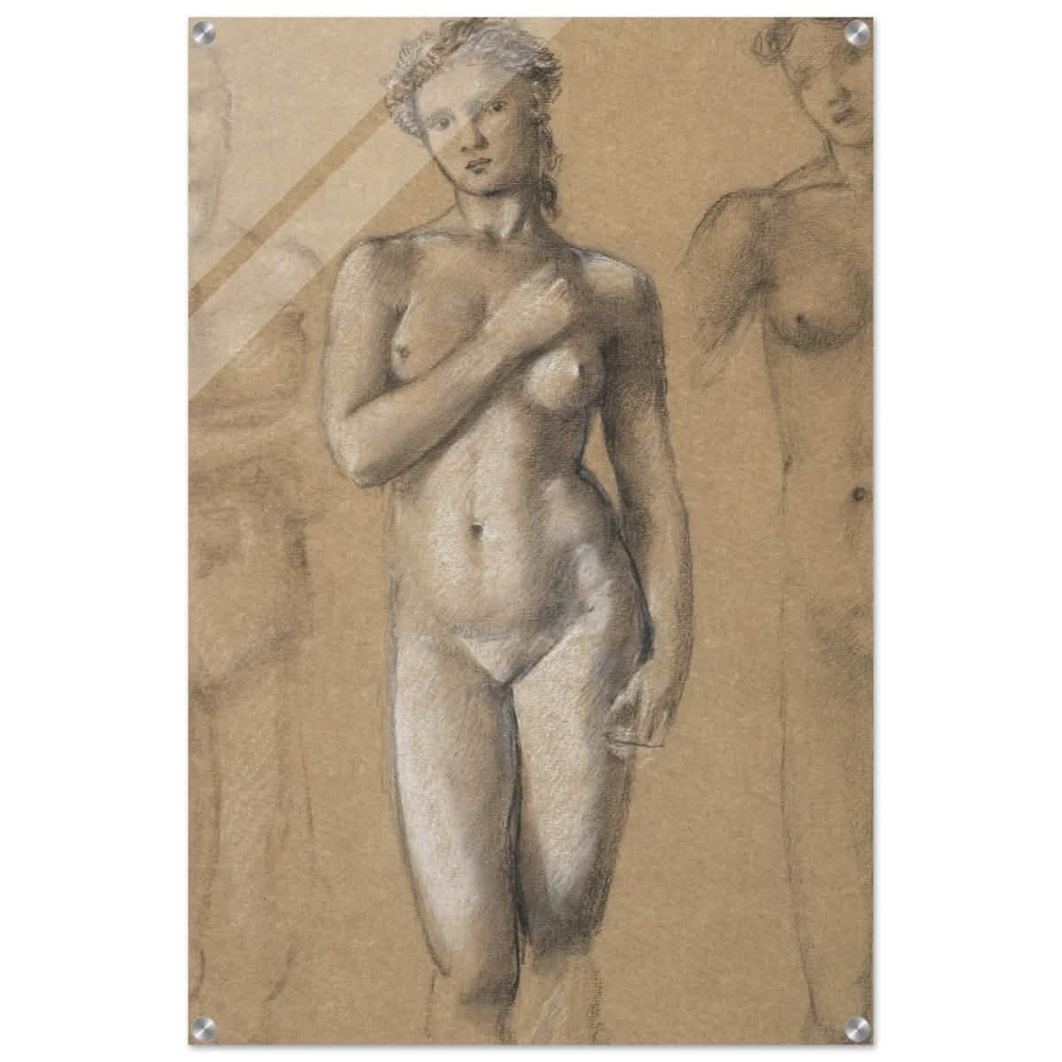 Female Nude Three Studies by Sir Edward Burne - Jones | Vintage wall art print - Acrylic Print - 60x90 cm / 24x36″ -