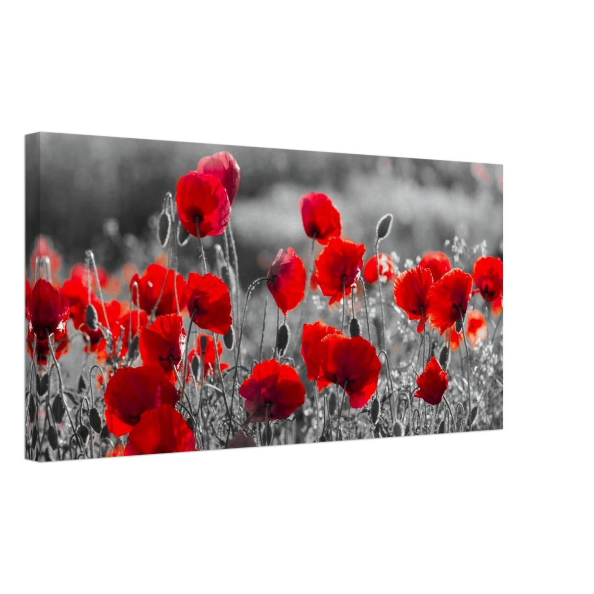 "Field of Remembrance" – Red Poppies in Monochrome Meadow | Elegant Floral Wall Art Print - 30x60 cm / 12x24″ -