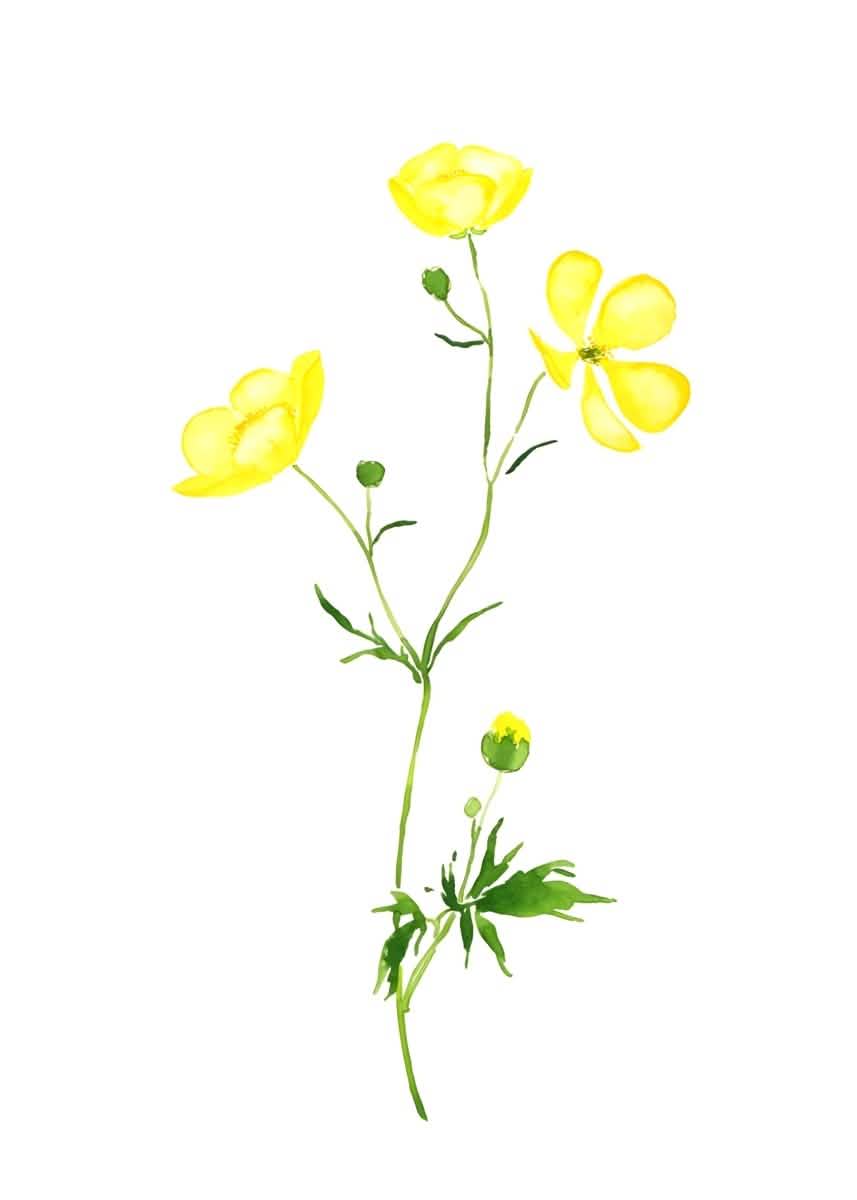 "Golden Bloom Harmony" V02 – Watercolor Yellow Floral Elegance | Wall Art Print | 4 Design Options - 20x30 cm / 8x12" - Design Option 4 - Canvas