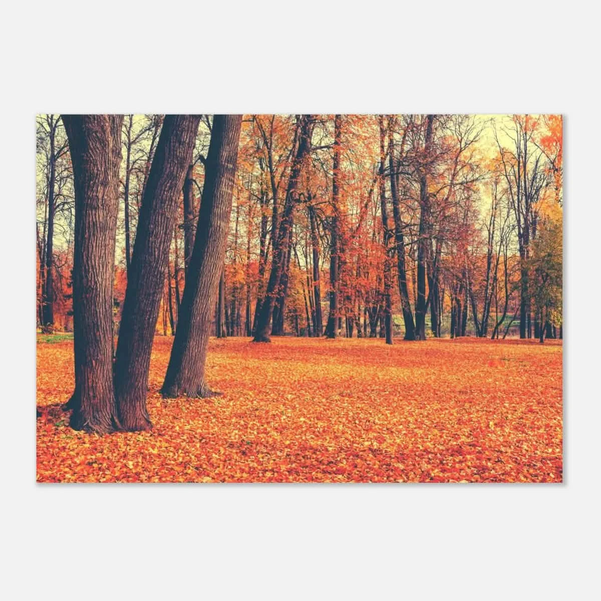 “Golden Silence in Autumn – A Tranquil Forest Escape” | Wall Art Print - Aluminum Print - 70x100 cm / 28x40″ -